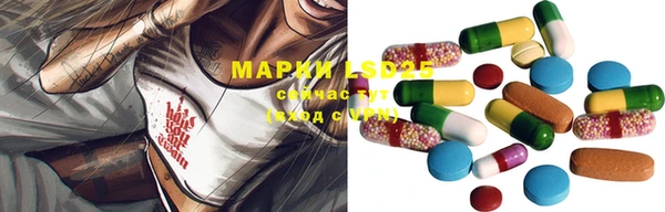 крисы Наволоки