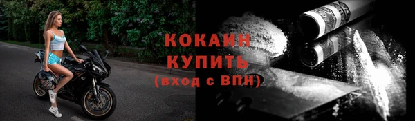 соль ск Белокуриха