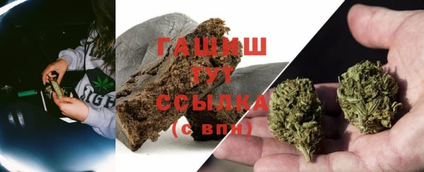 spice Беломорск