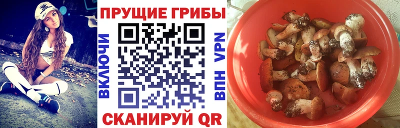 Галлюциногенные грибы Magic Shrooms  Кирсанов 